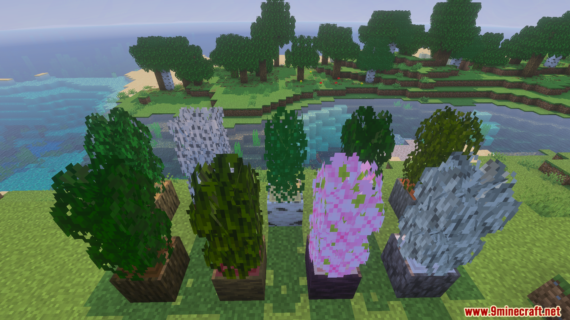 Bushy Trees Texture Pack Screenshot 4 Different styles of bushy leaves displayed on various tree blocks in game