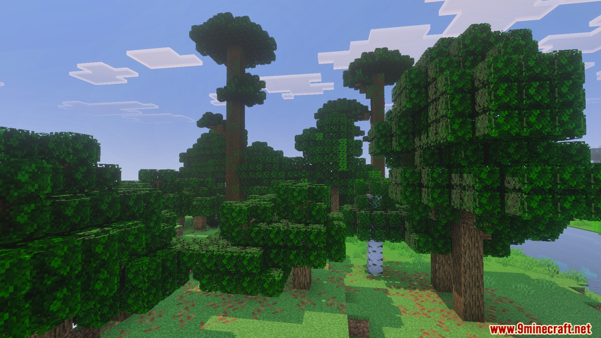 Bushy Trees Texture Pack Screenshot 6 Dense green forest featuring trees with thick and full bushy leaves