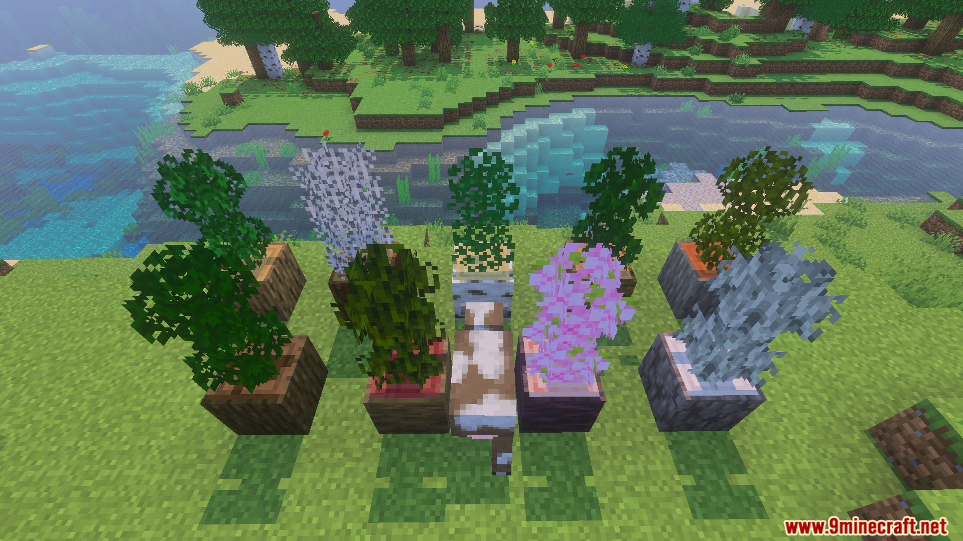 Bushy Trees Texture Pack Screenshot 7 Various small trees with bushy leaf textures in wooden log pots