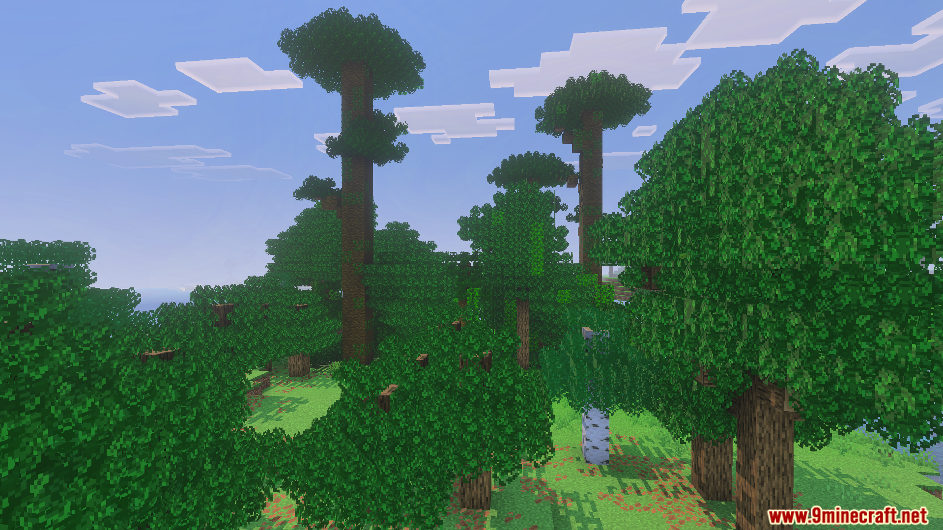 Bushy Trees Texture Pack Screenshot 8 Dense forest landscape with tall trees featuring thick and fluffy leaf canopies