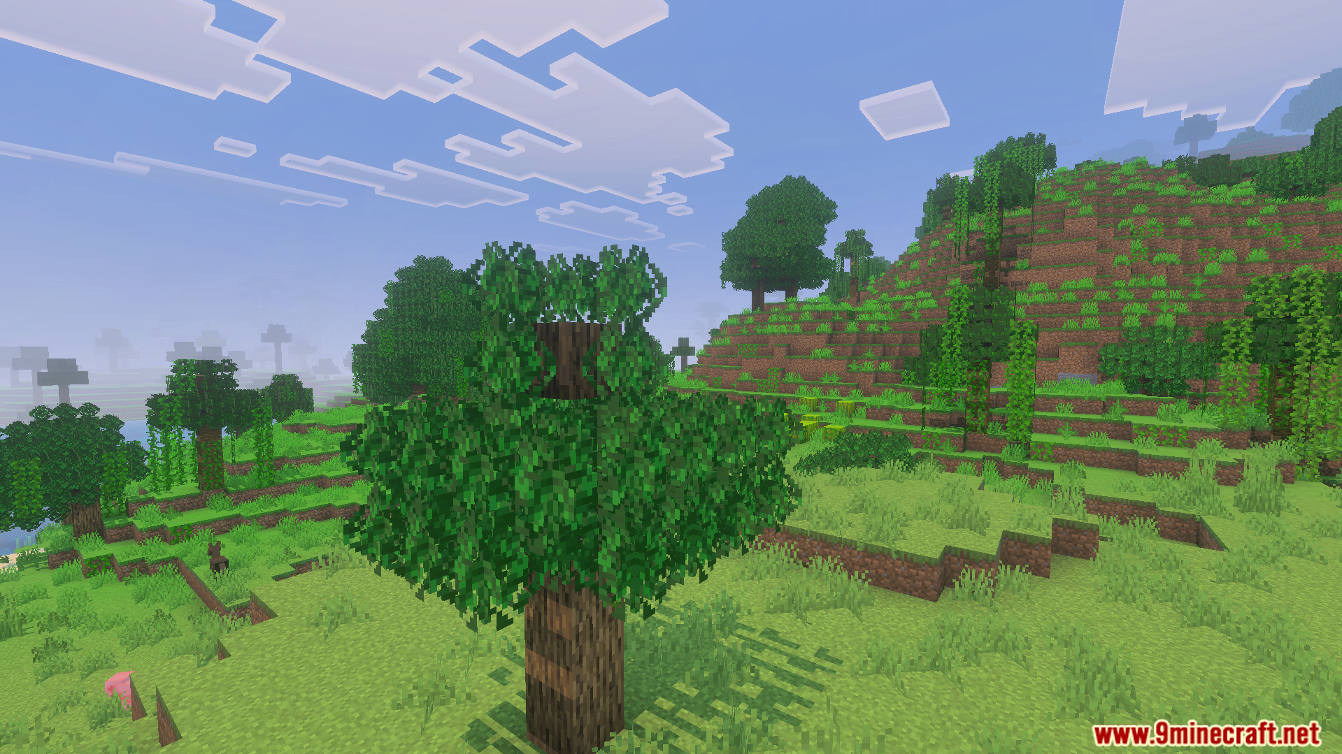 Bushy Trees Texture Pack Screenshot 9 Minecraft trees with thick bushy and fluffy leaves in a dense green forest