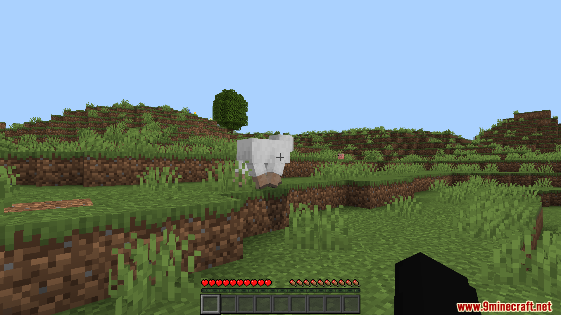 A white sheep stands on a grassy hill in a Minecraft world