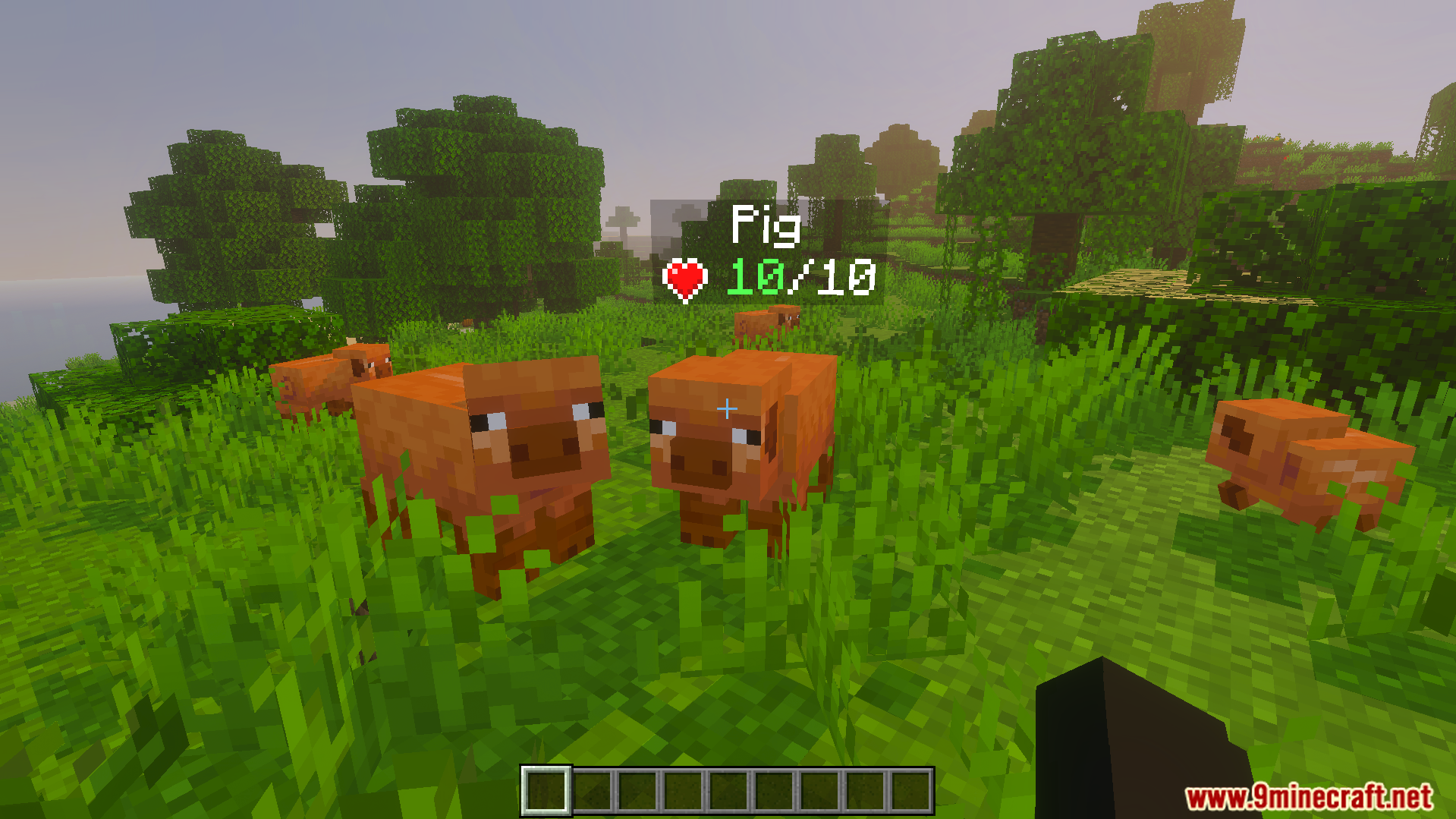 Pigs in a grassy field with a health indicator showing full health
