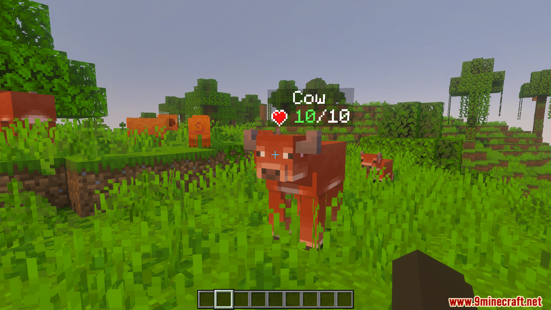 DHealth and Damage Bar Addon displays a live health indicator above a cow