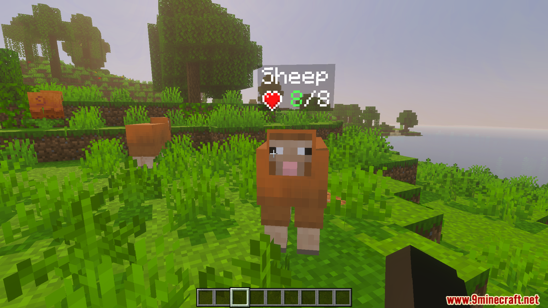 A sheep in a field with a health bar showing eight health points