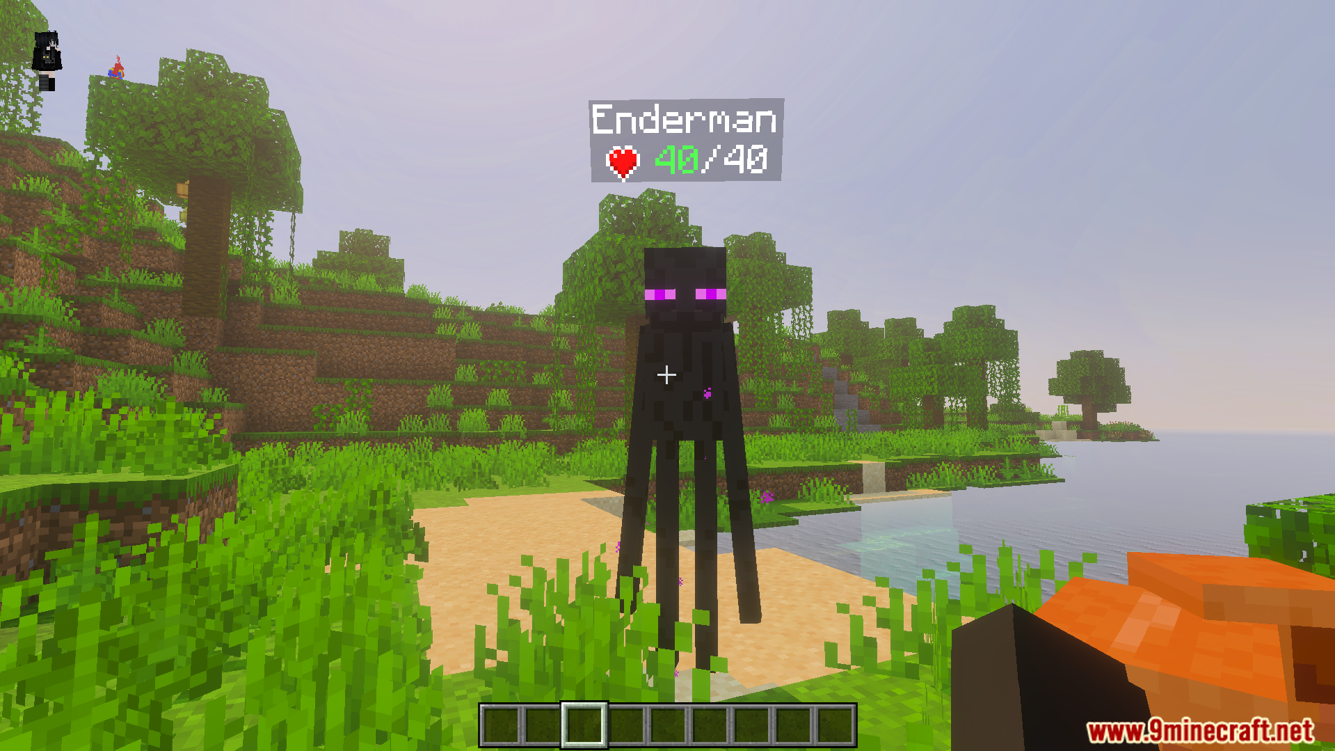 Live health indicator showing exact health points above an enderman on a beach