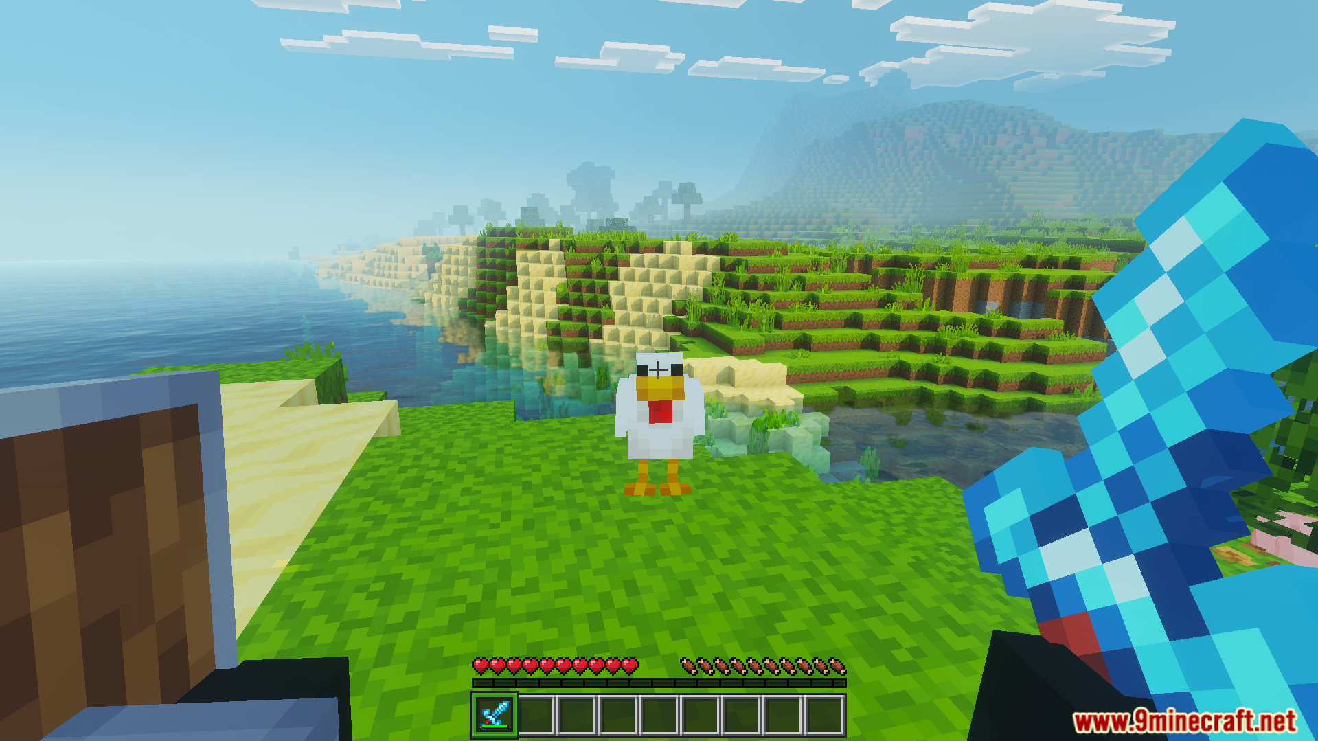 First person view holding shield in offhand and diamond sword in right hand