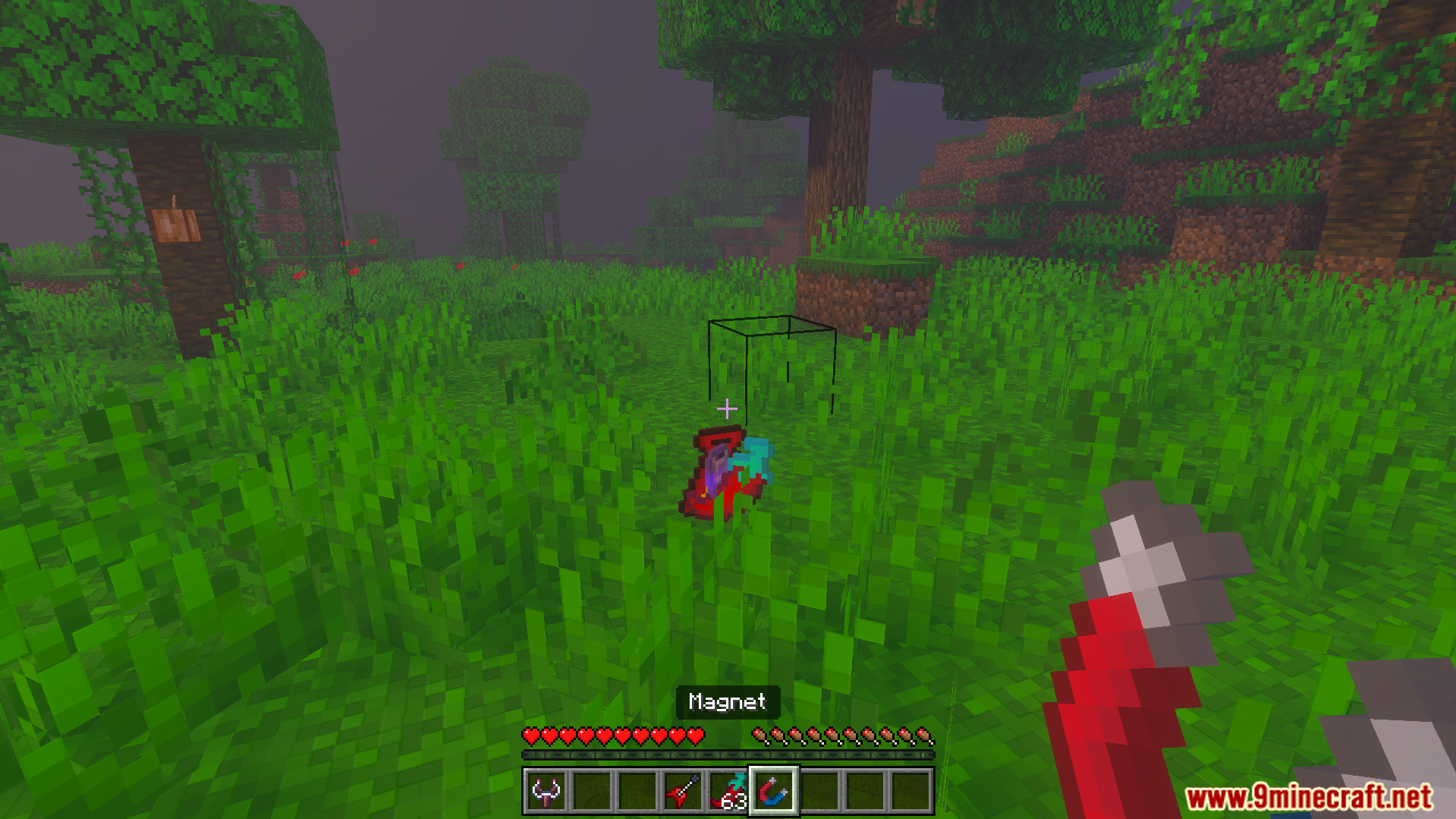Player holding a red magnet item in a grassy area