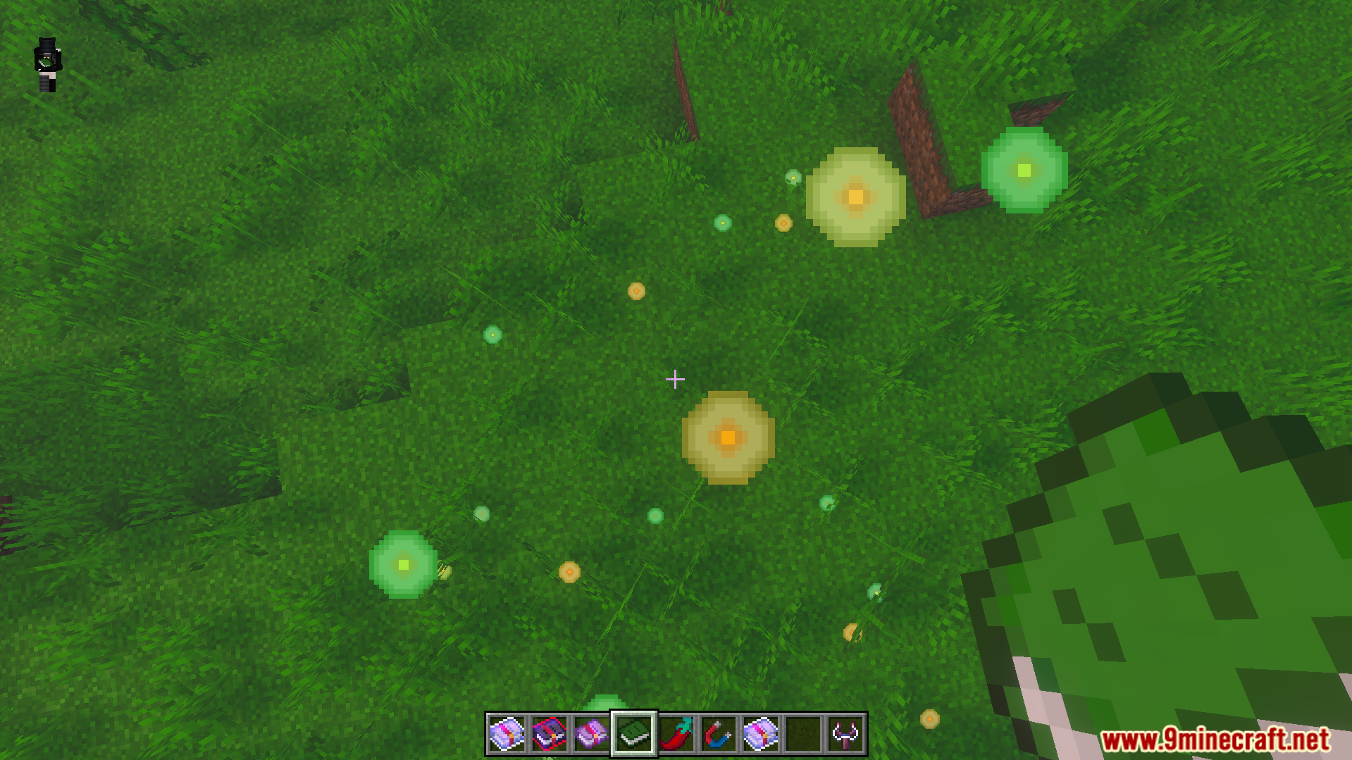 Player looking at glowing orbs on the grass