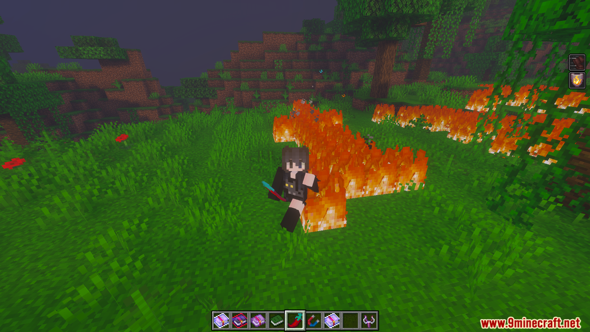 Player using a red chili pepper item to create fire on the grass