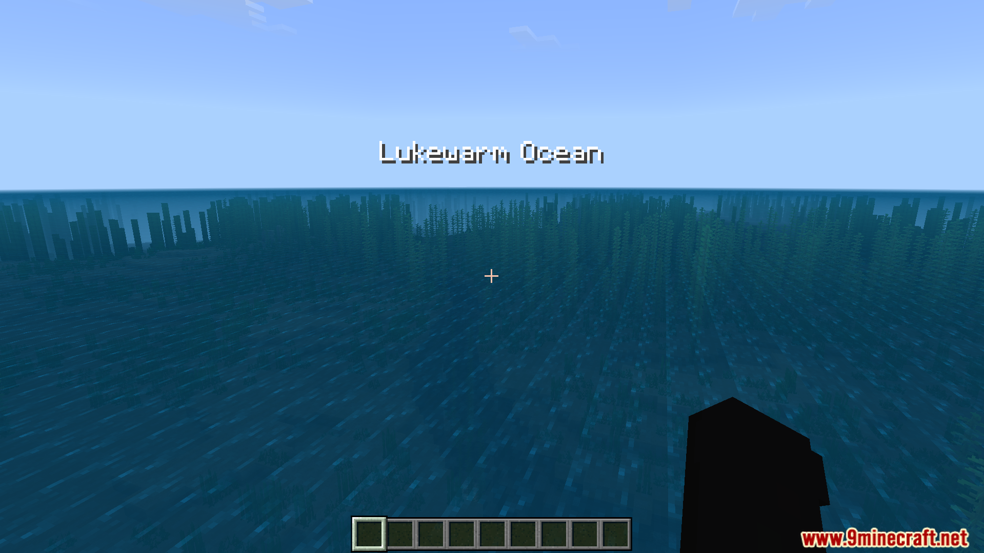 Biome name displayed as a title on screen when entering a new area