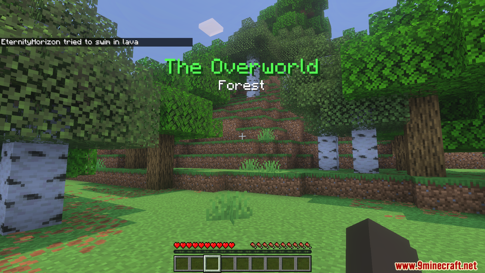 The Overworld Forest title appears on screen while walking through birch trees