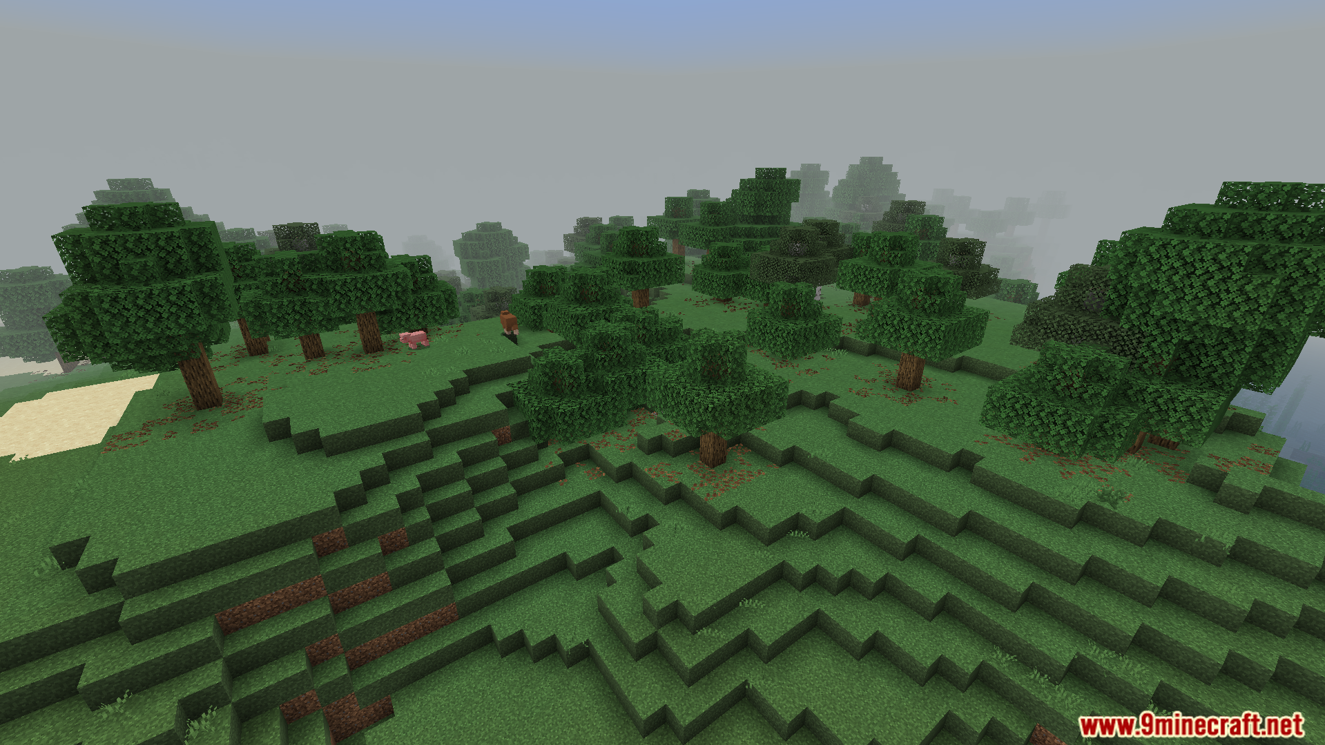 Minecraft landscape showing simplified textures and reduced particles for better performance