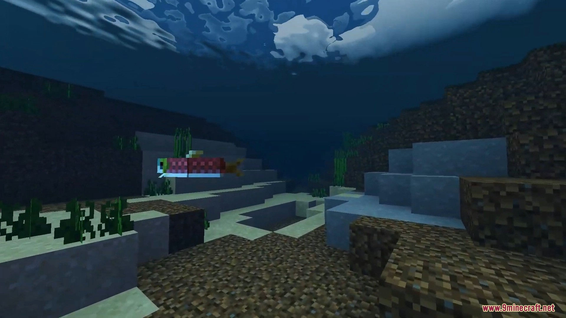 Underwater scene showing a swimming salmon and realistic water surface reflections