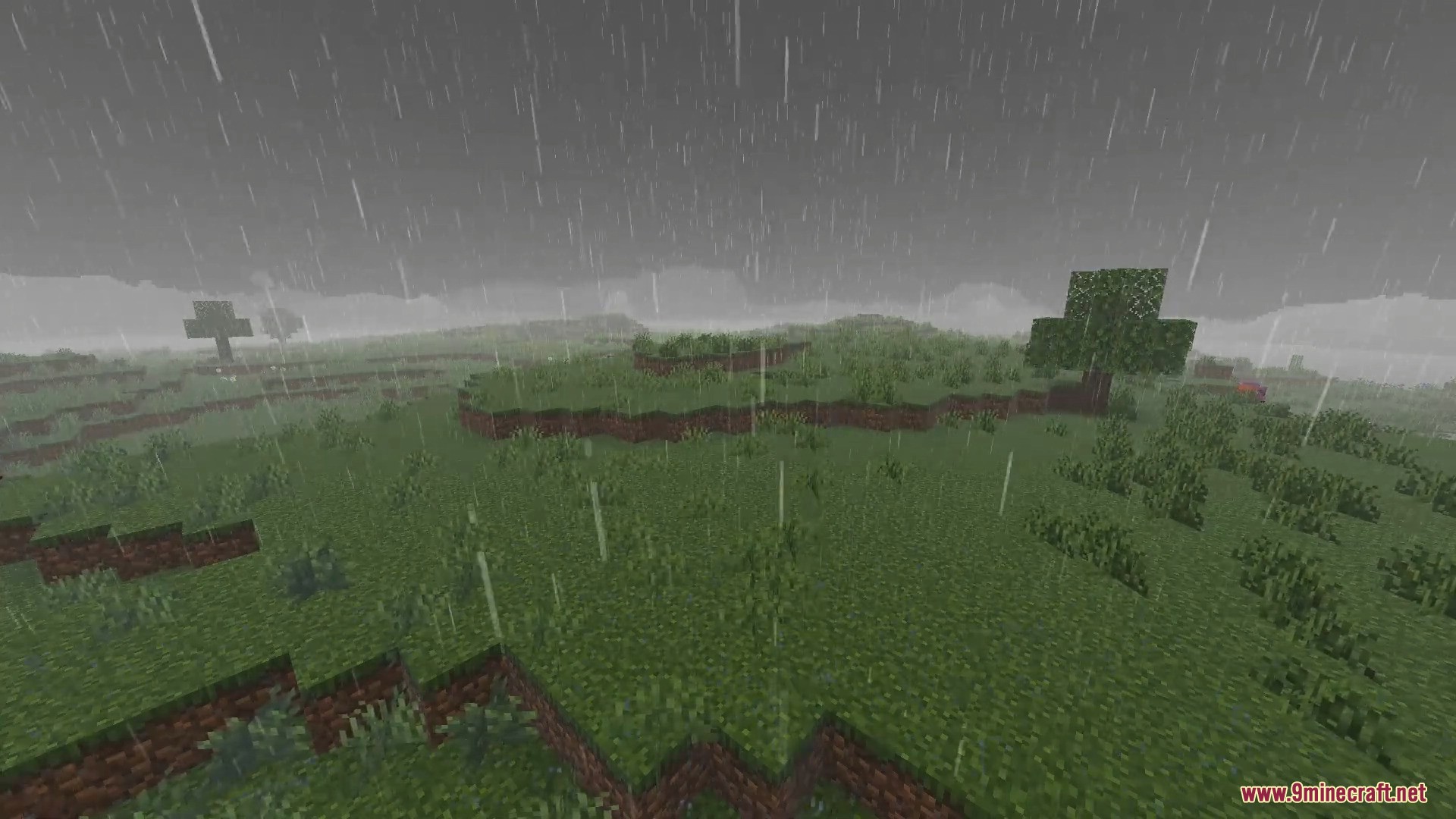 Rainy weather in a grassy Minecraft landscape with gray skies and a tree