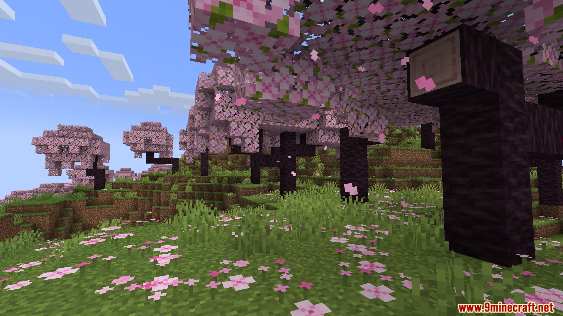 FullBright RD Texture Pack Screenshot 6 Beautiful cherry blossom trees with pink petals scattered across a grassy hill