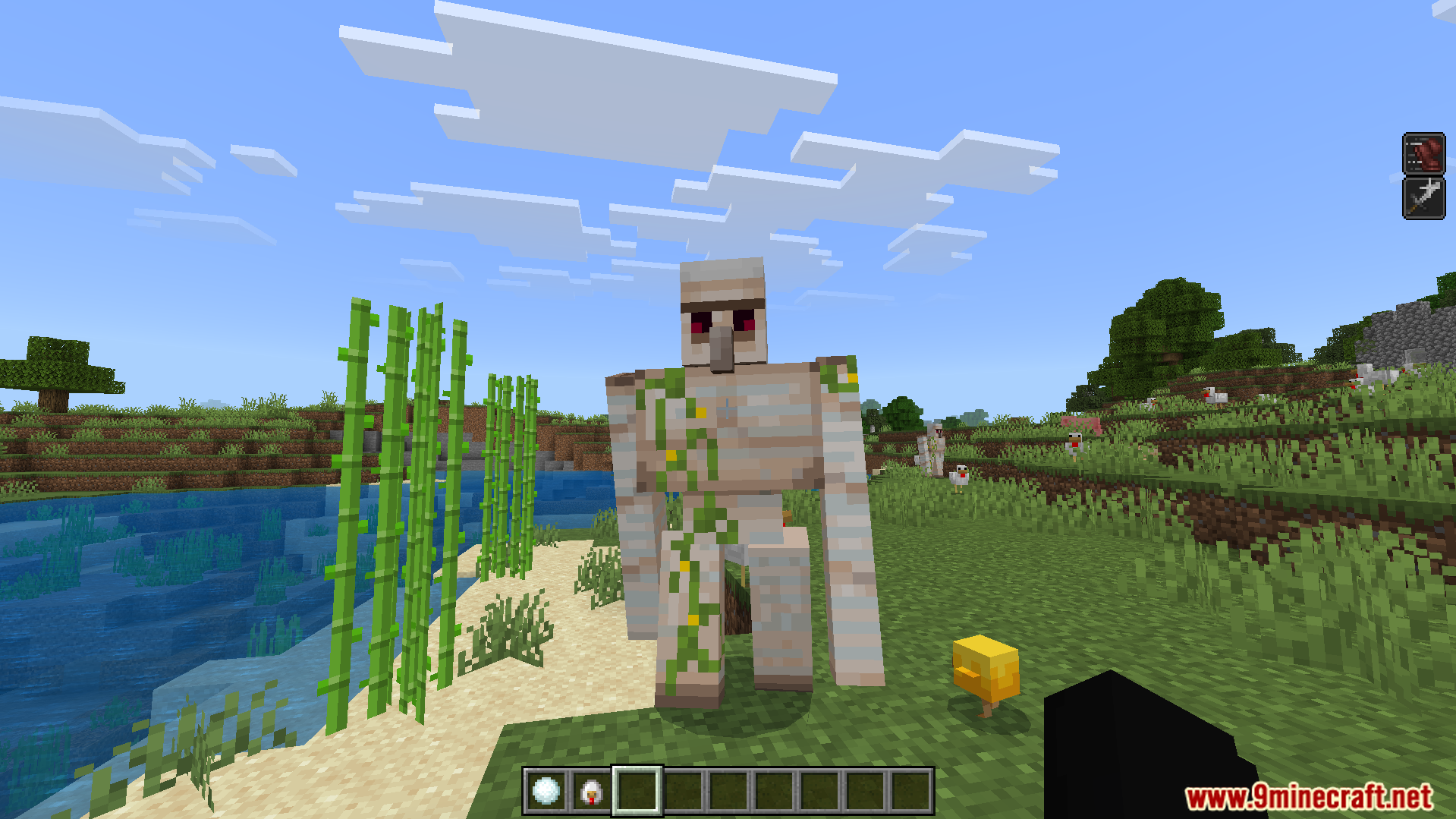 Player holding a snowball while looking at an iron golem near sugar cane
