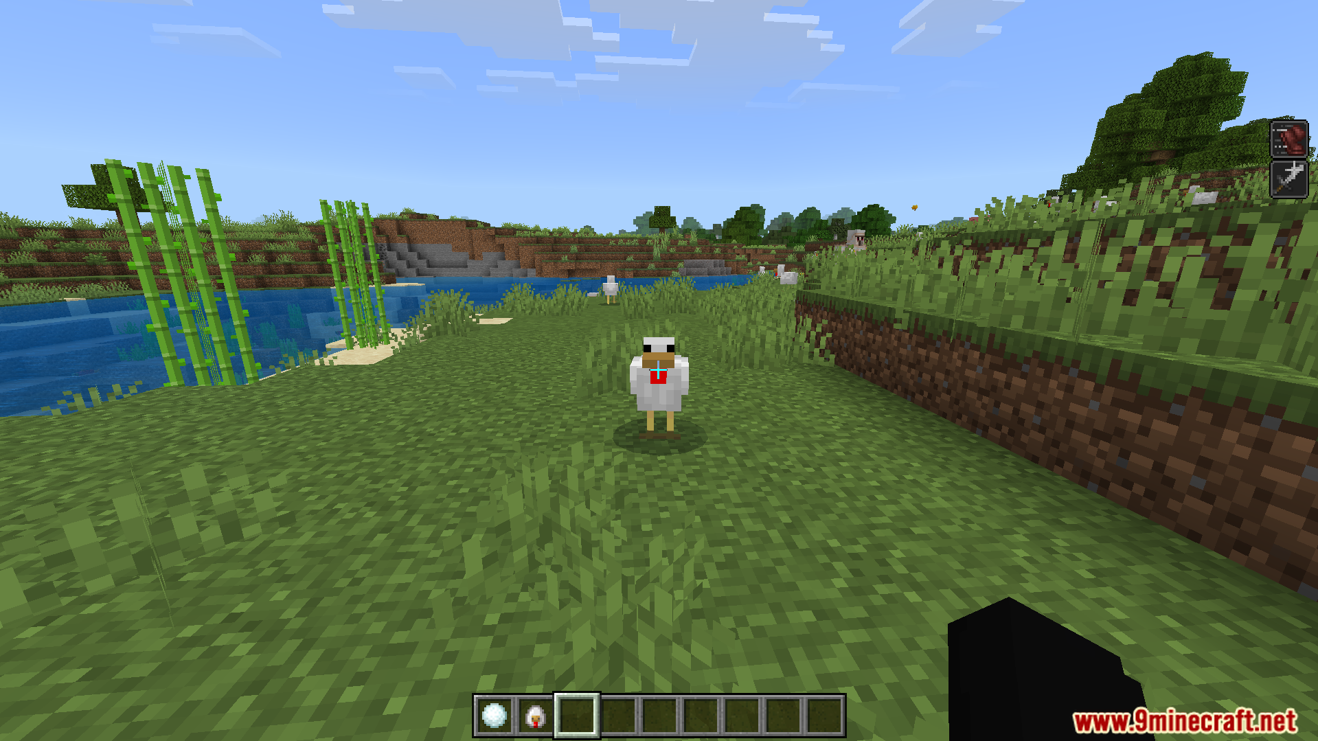 Player holding a snowball while looking at a chicken in a field