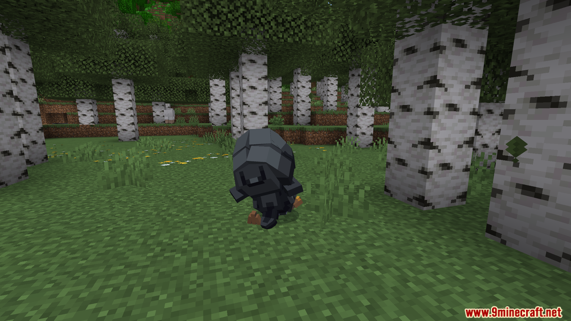 A small black penguin creature standing on grass in a birch forest