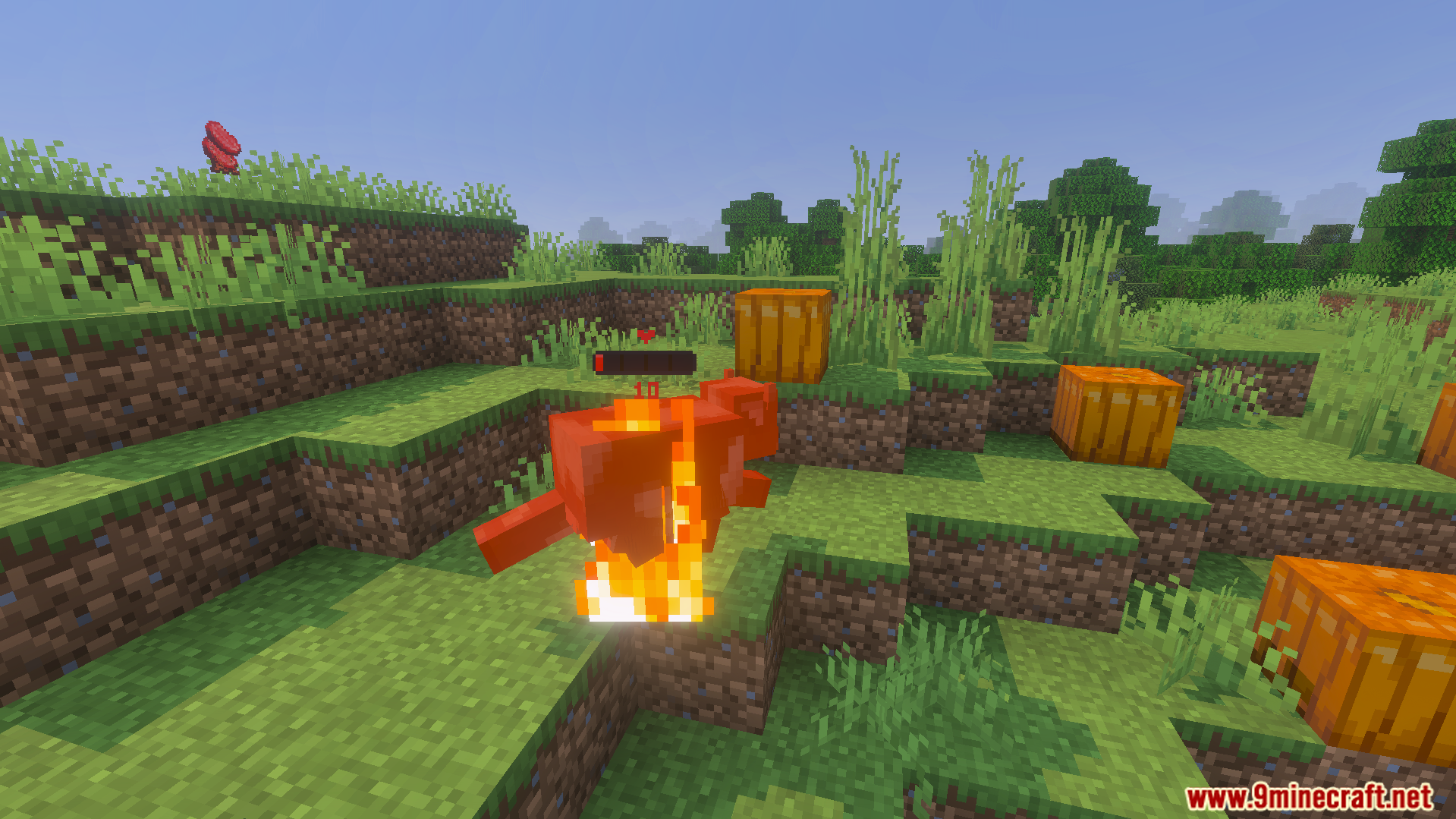 Health Bar Indicator Texture Pack showing a red bar above a burning fox