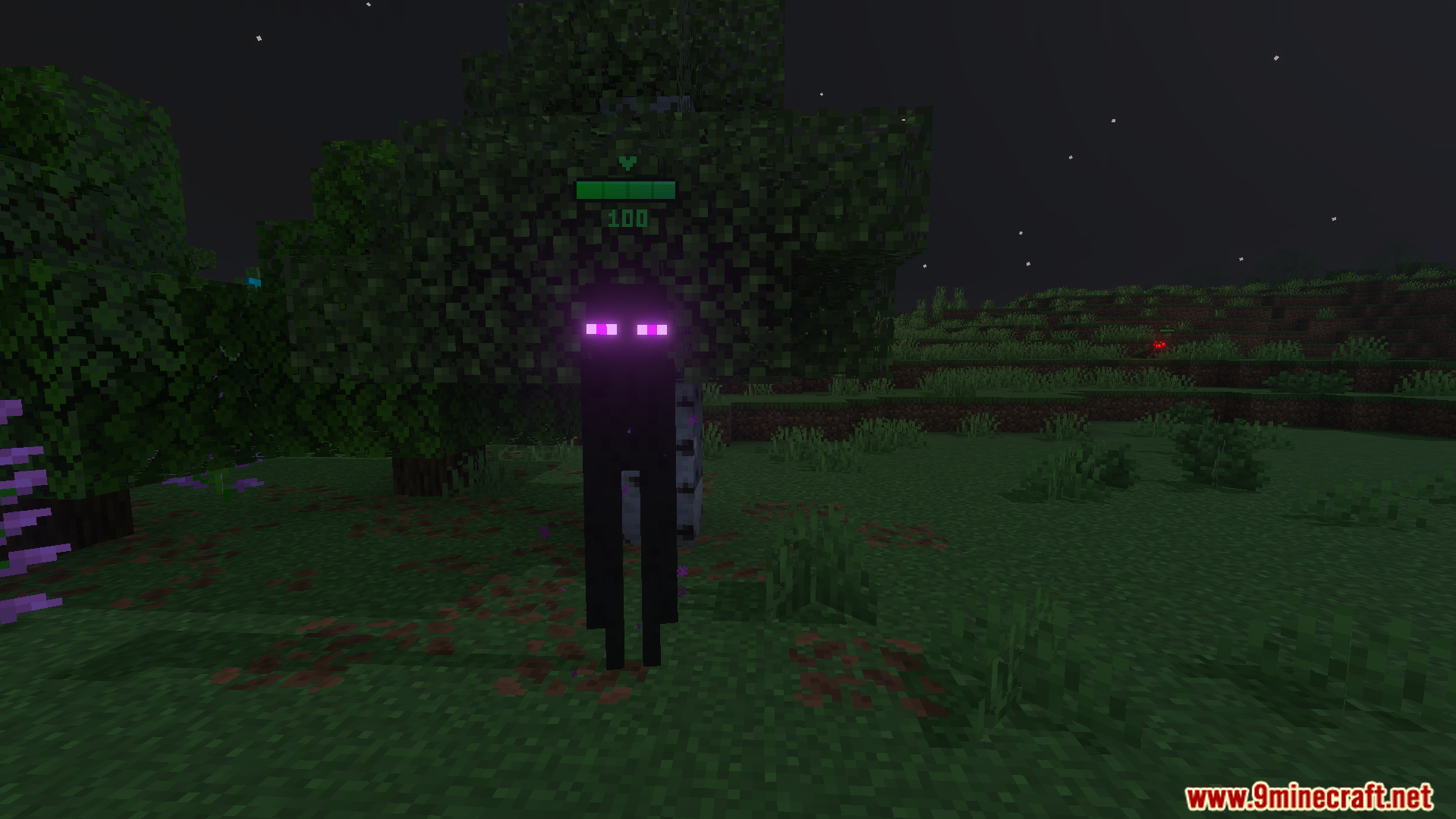 An enderman with a green health bar above its head in a dark forest