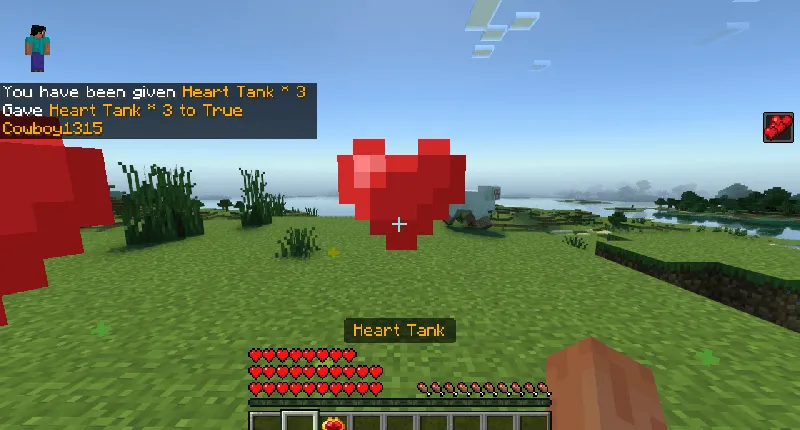 Heart Tank V1.4