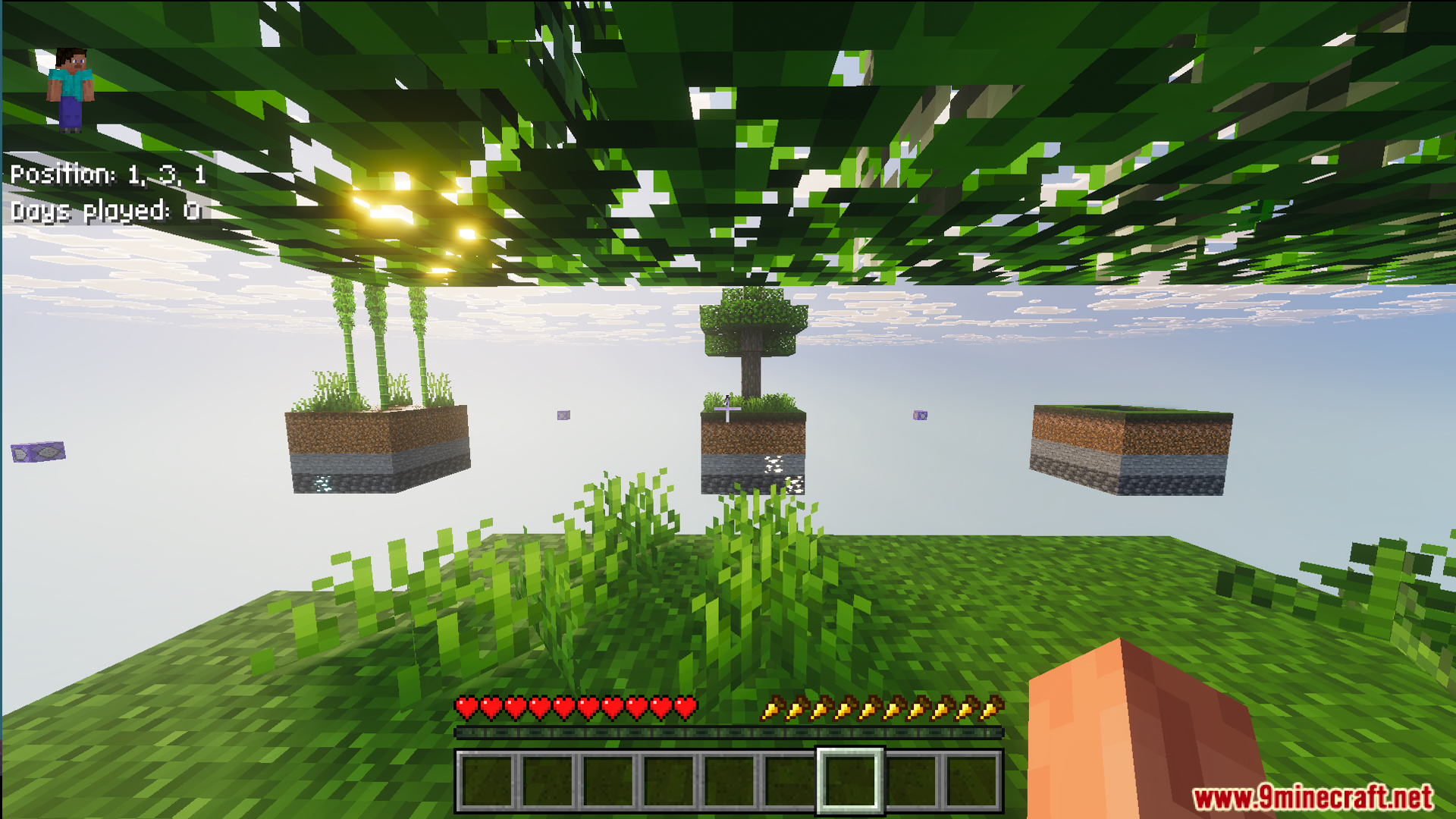Player overlooking several small floating islands with trees and sugarcane in Infinite Skyblock Map