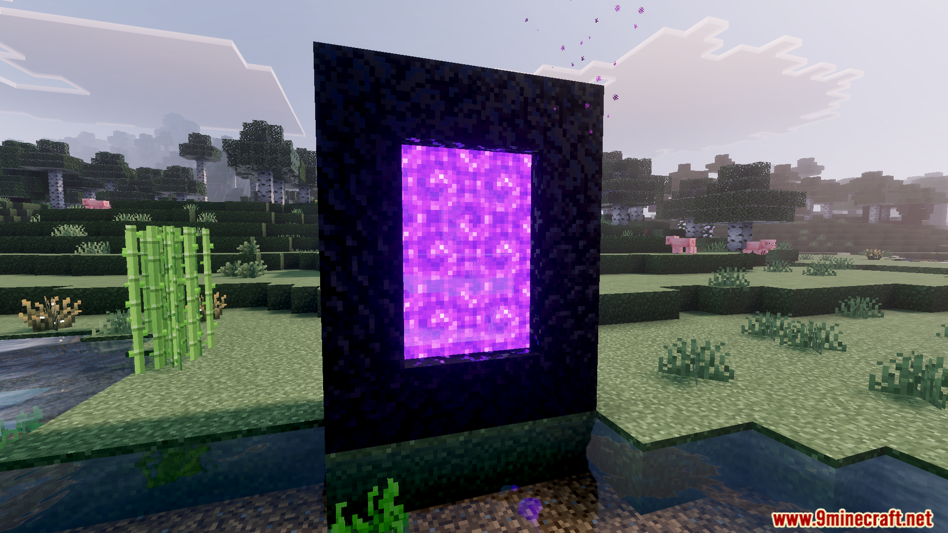 Bright sunlight shining through trees and colored lights in the game world