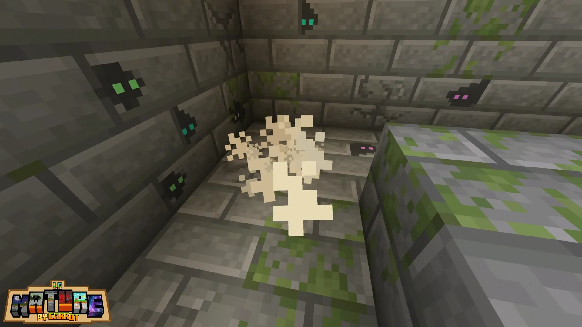 La Nature Texture Pack (1.21) – MCPE/Bedrock