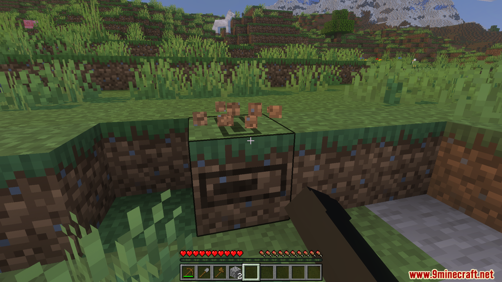 Loading Block Breaking Animation Texture Pack Screenshot 4 A progress bar appears on a grass block while it is being broken
