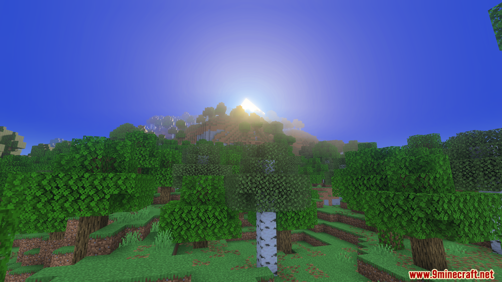 Luvid Visual Refined Texture Pack Screenshot 6 Warm golden lighting and god rays shining over a forest with birch trees