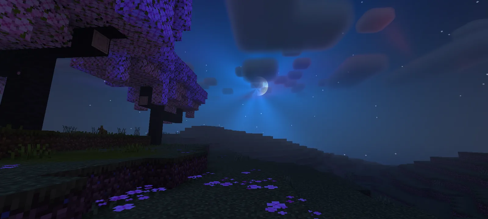 Newb X Blissful Shader (1.21) – MCPE/Bedrock