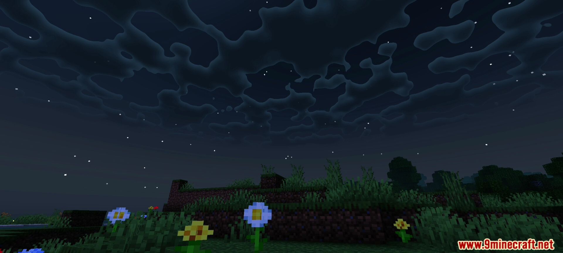 Newb X Iterationt Shader Screenshot 7 Dark night sky featuring wavy clouds and stars above flowers