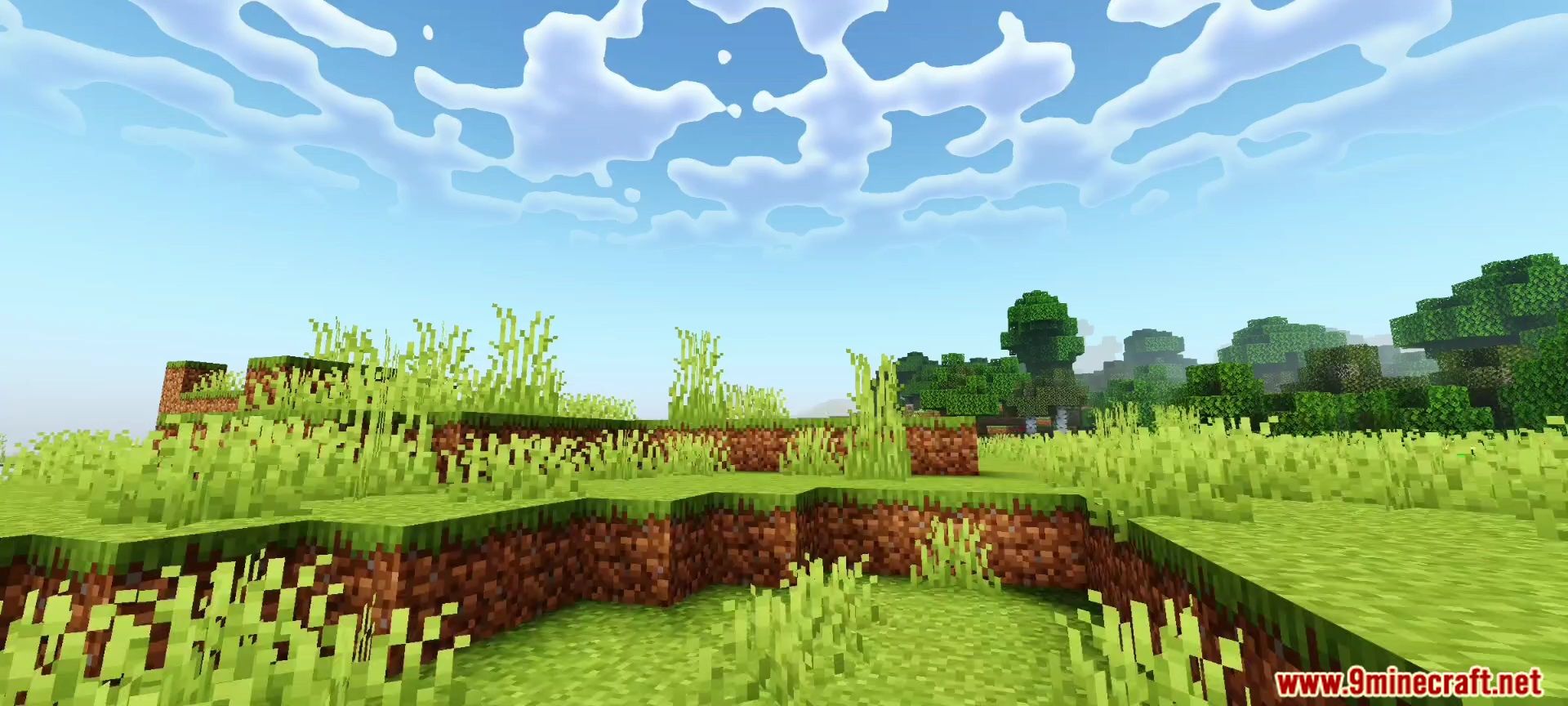 Newb X Iterationt Shader Screenshot 6 Bright daytime grassy terrain with tall grass and stylized clouds