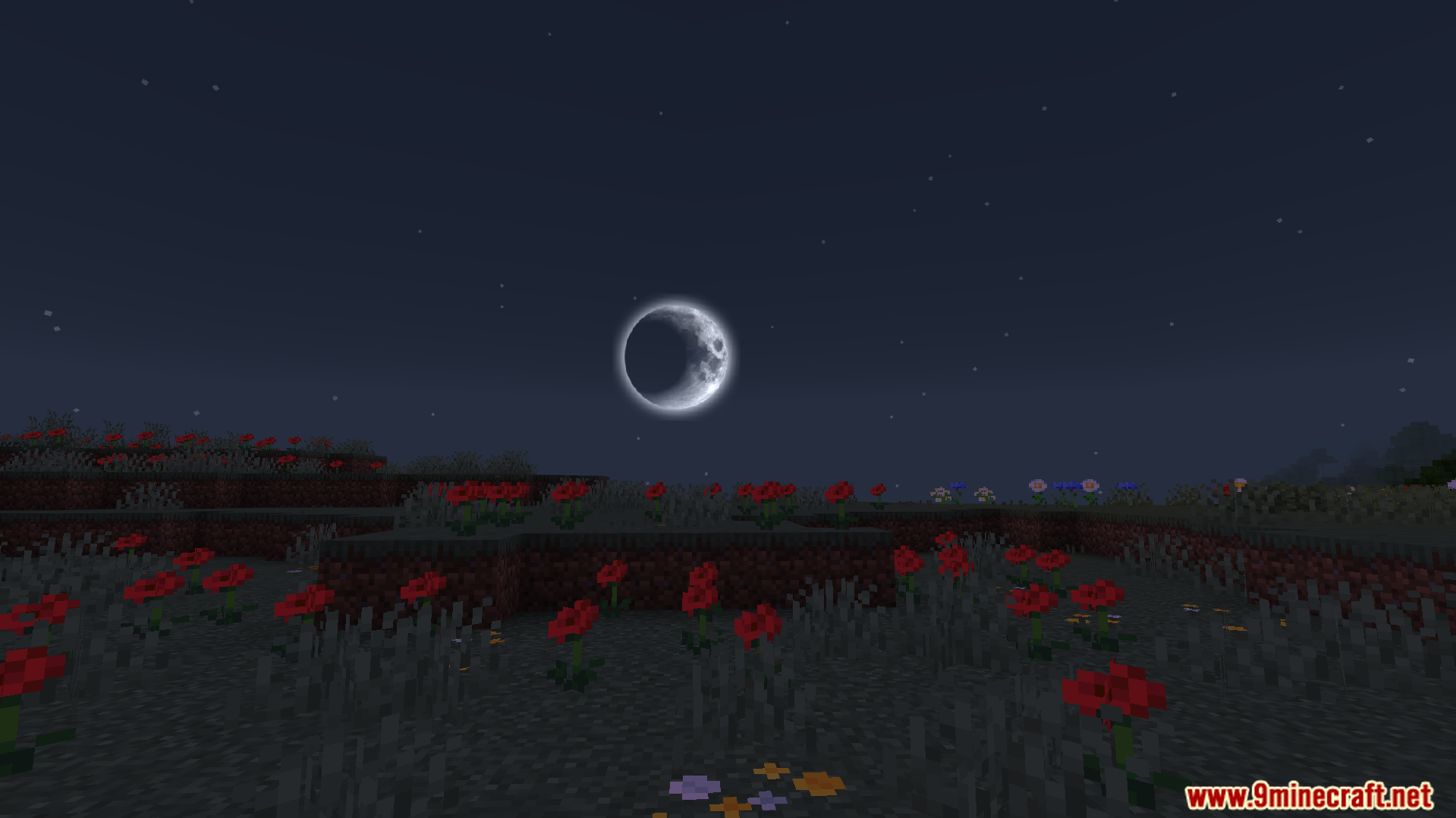 Crescent moon in a starry sky above a field of red poppies