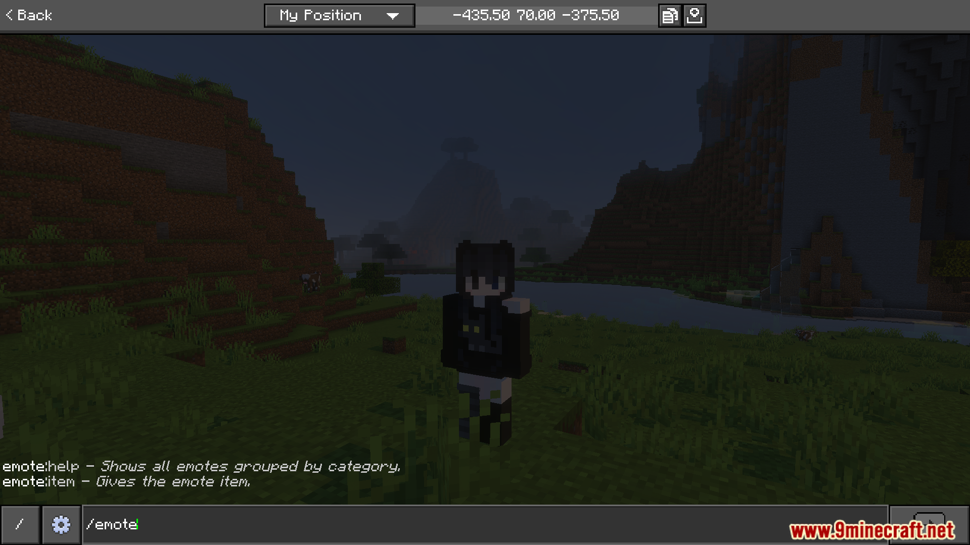 Typing a chat command to access the help menu for player animations