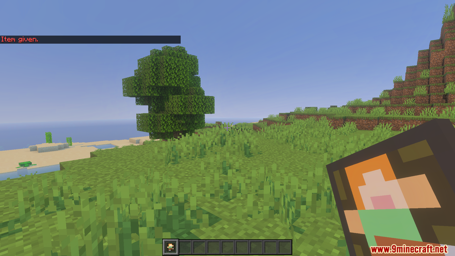 Player holding the special item from the Not Enough Emotes Addon