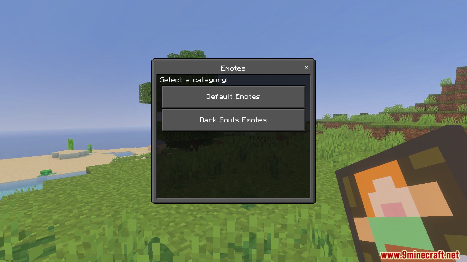 Emote menu showing options for default and Dark Souls animation categories