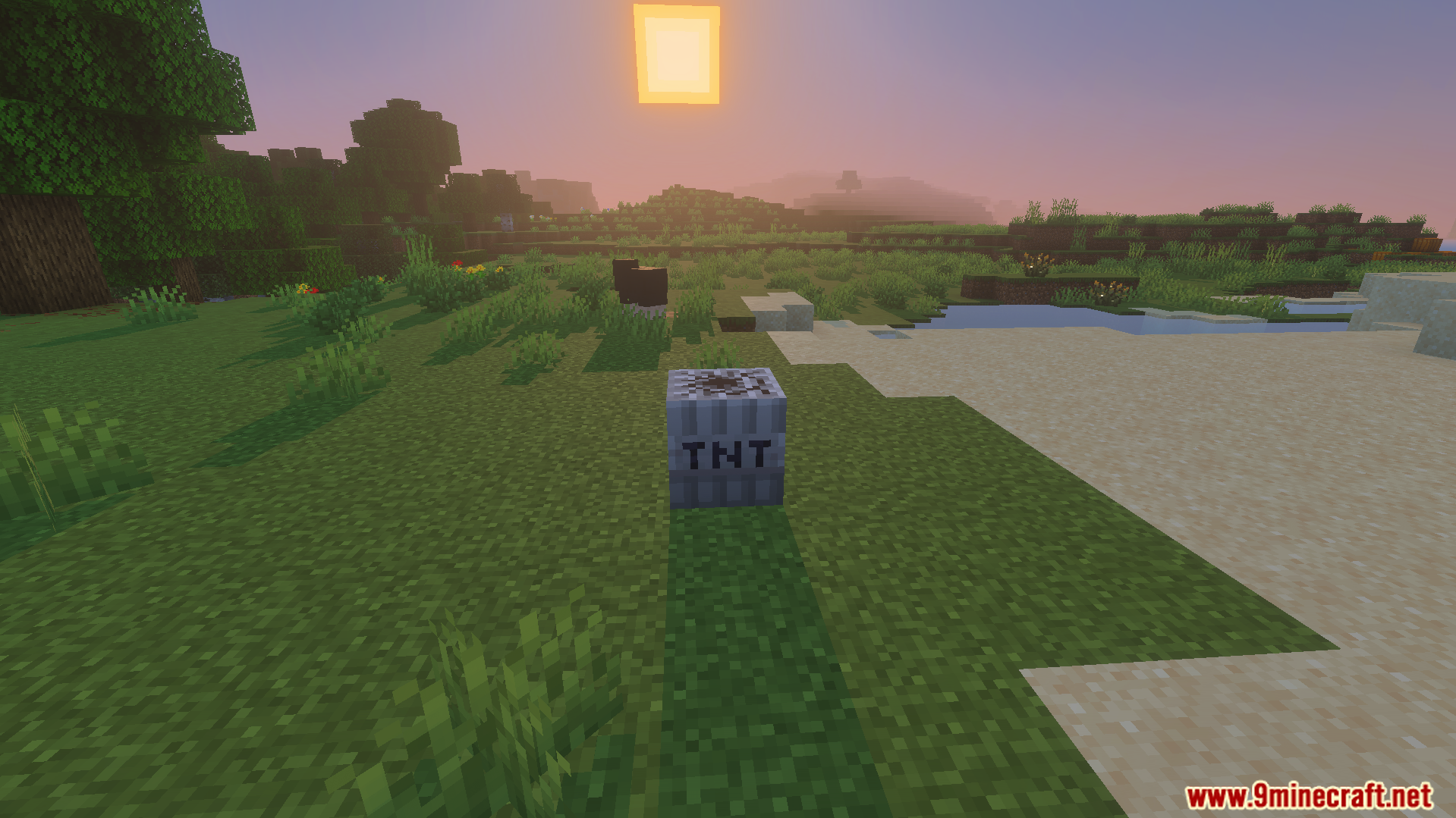 A fake explosive block placed on the grass to prank your friends