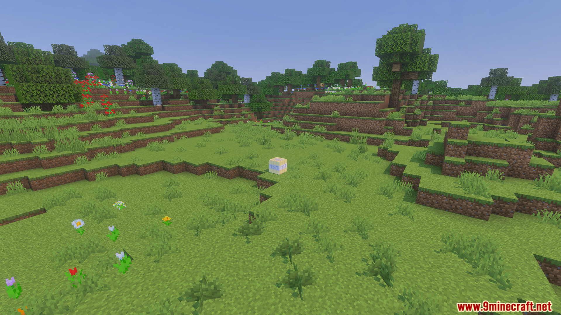 Single explosive block placed in grassy field