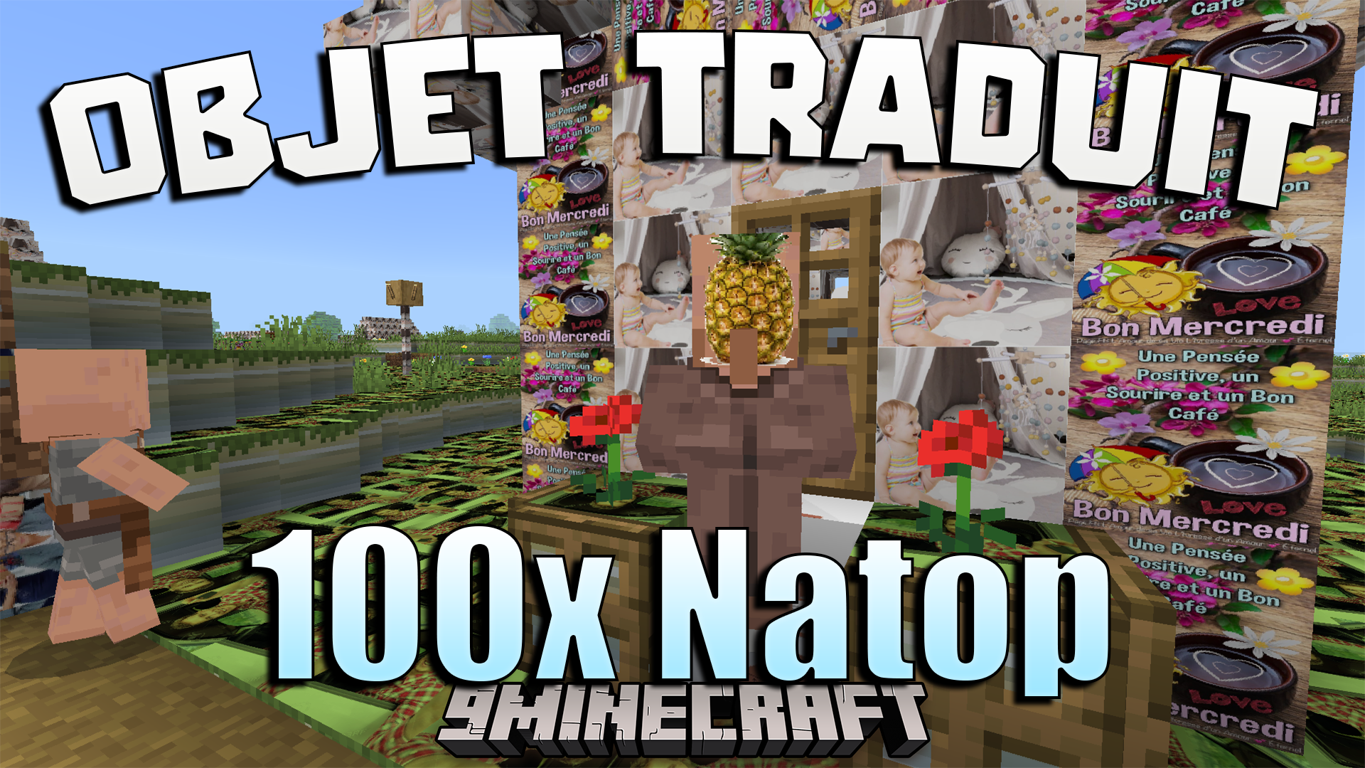 Objet Traduit 100x Natop Texture Pack (1.21) – Chaotic 100x Translated Textures