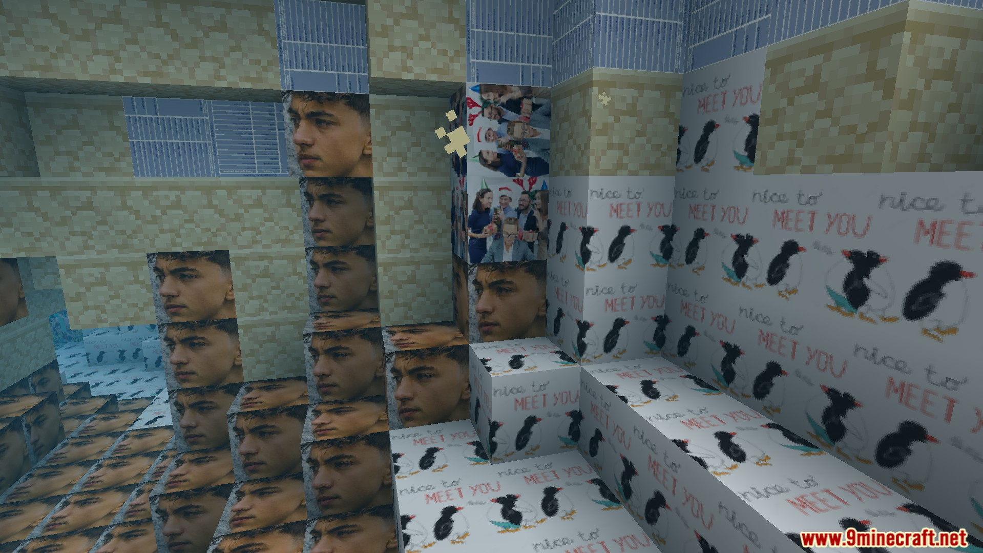 Hilarious new textures with faces and penguins cover the game blocks