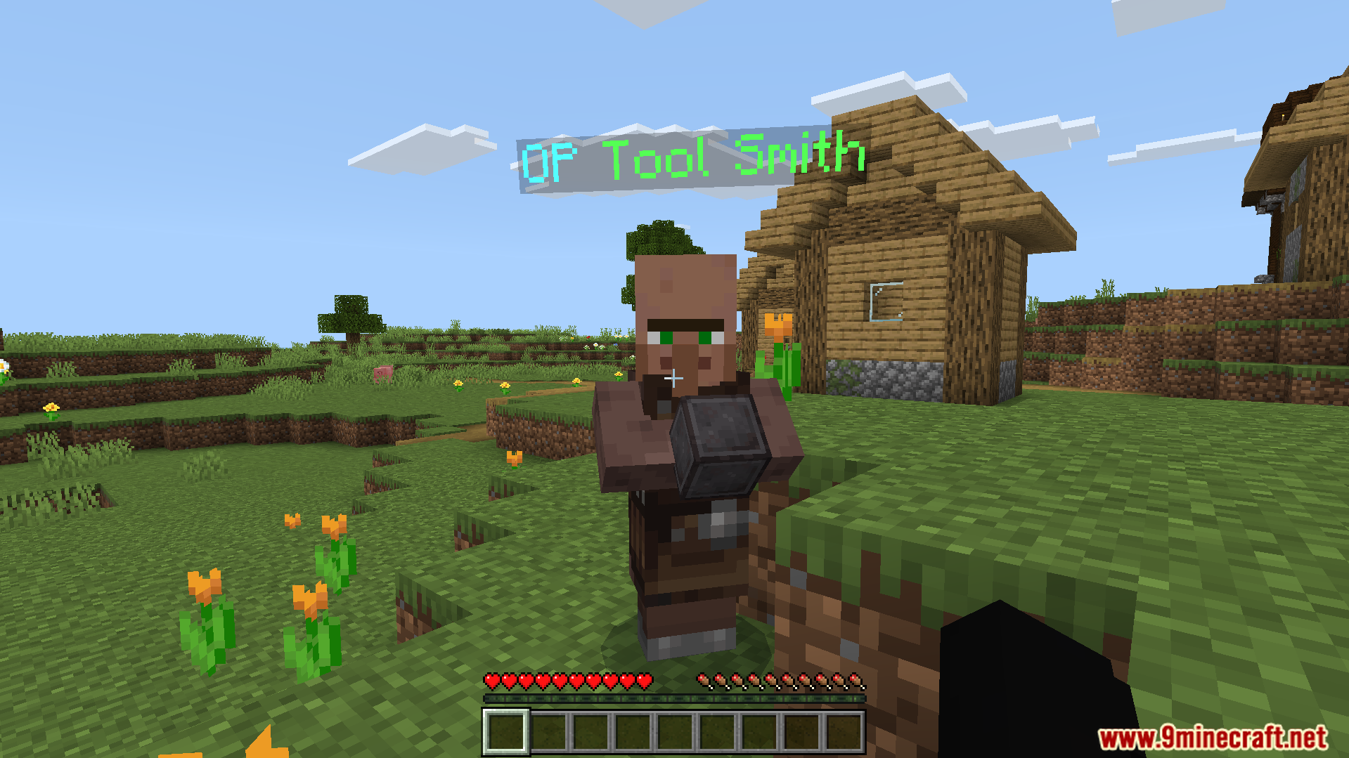 Op Tool Smith Map Screenshot 1 A special tool smith villager stands in a survival village