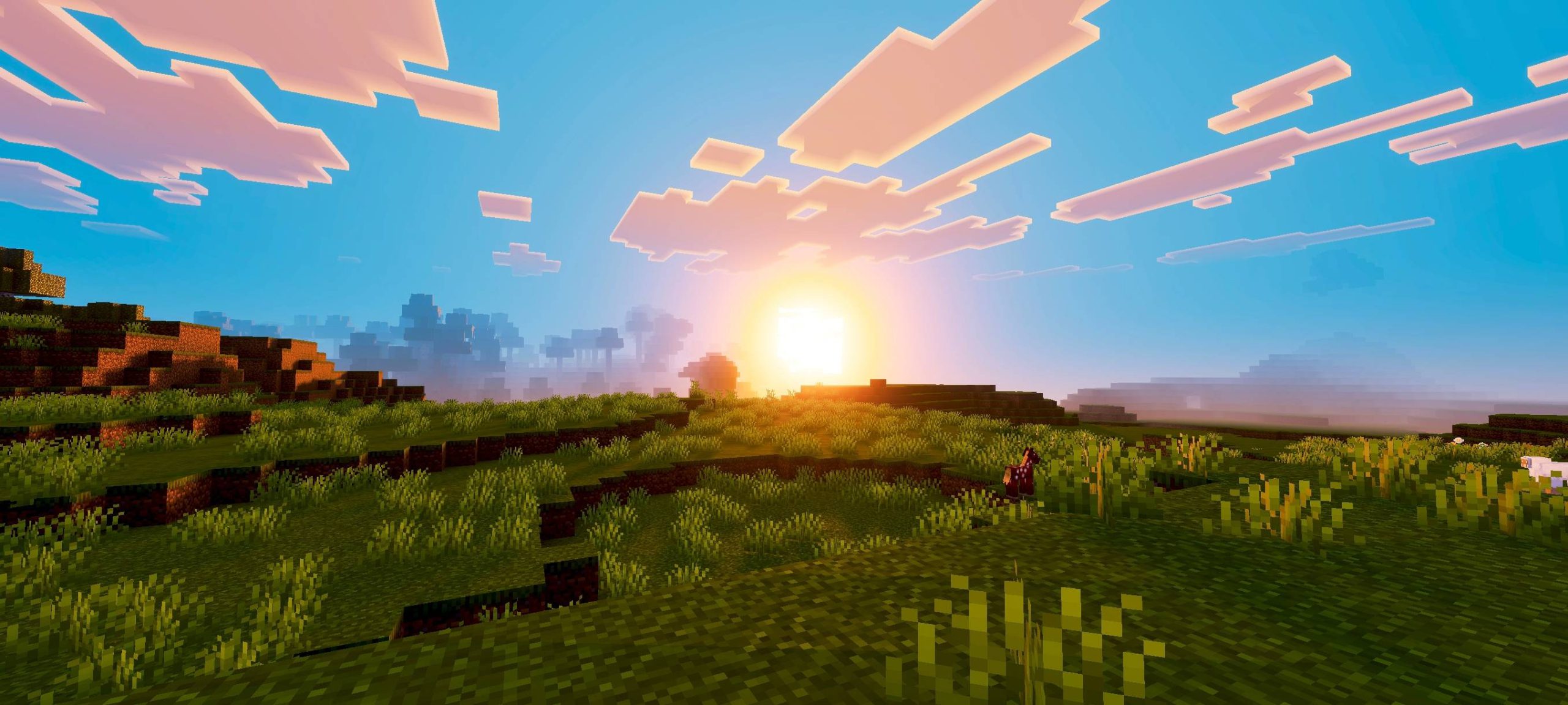Vibrant sunset with warm lighting and soft visuals over a grassy landscape