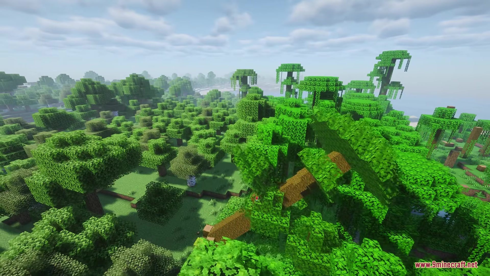 A large jungle tree tilting and falling over in a lush green forest