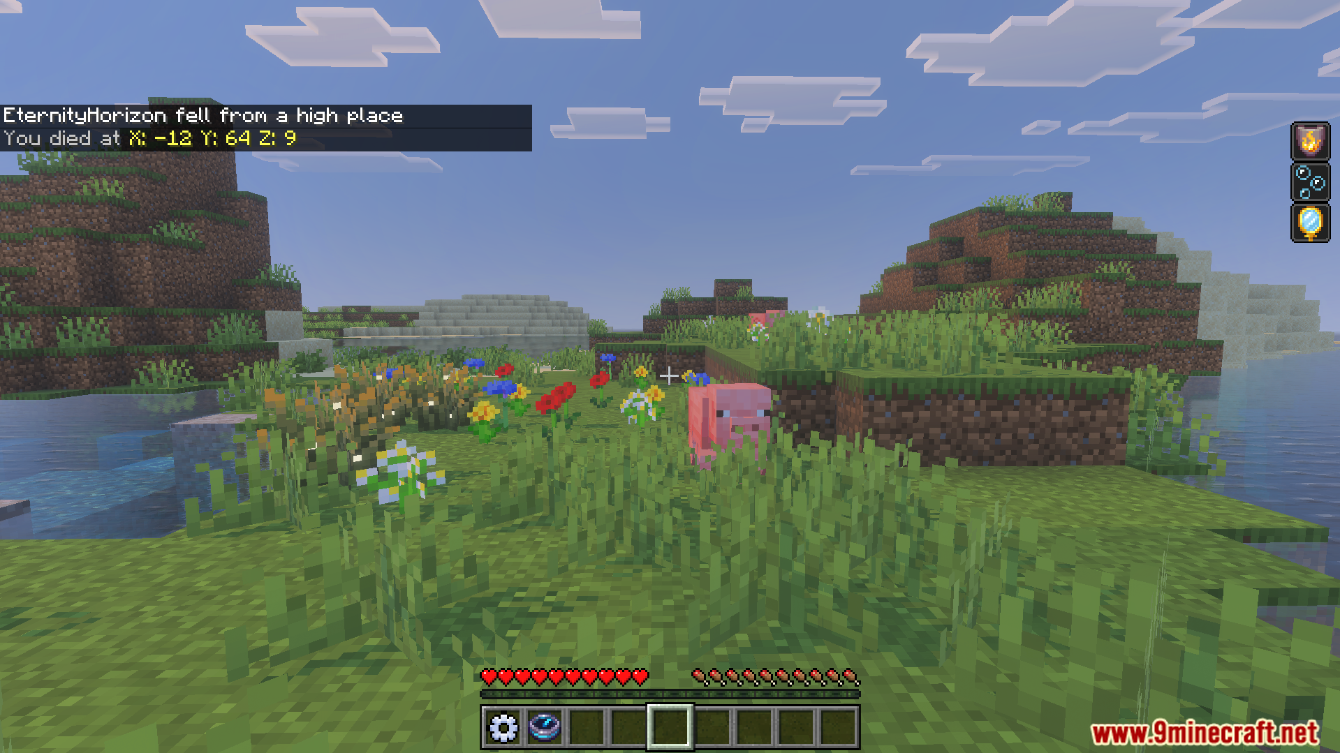Minecraft chat message showing death coordinates near a pig in a grassy field