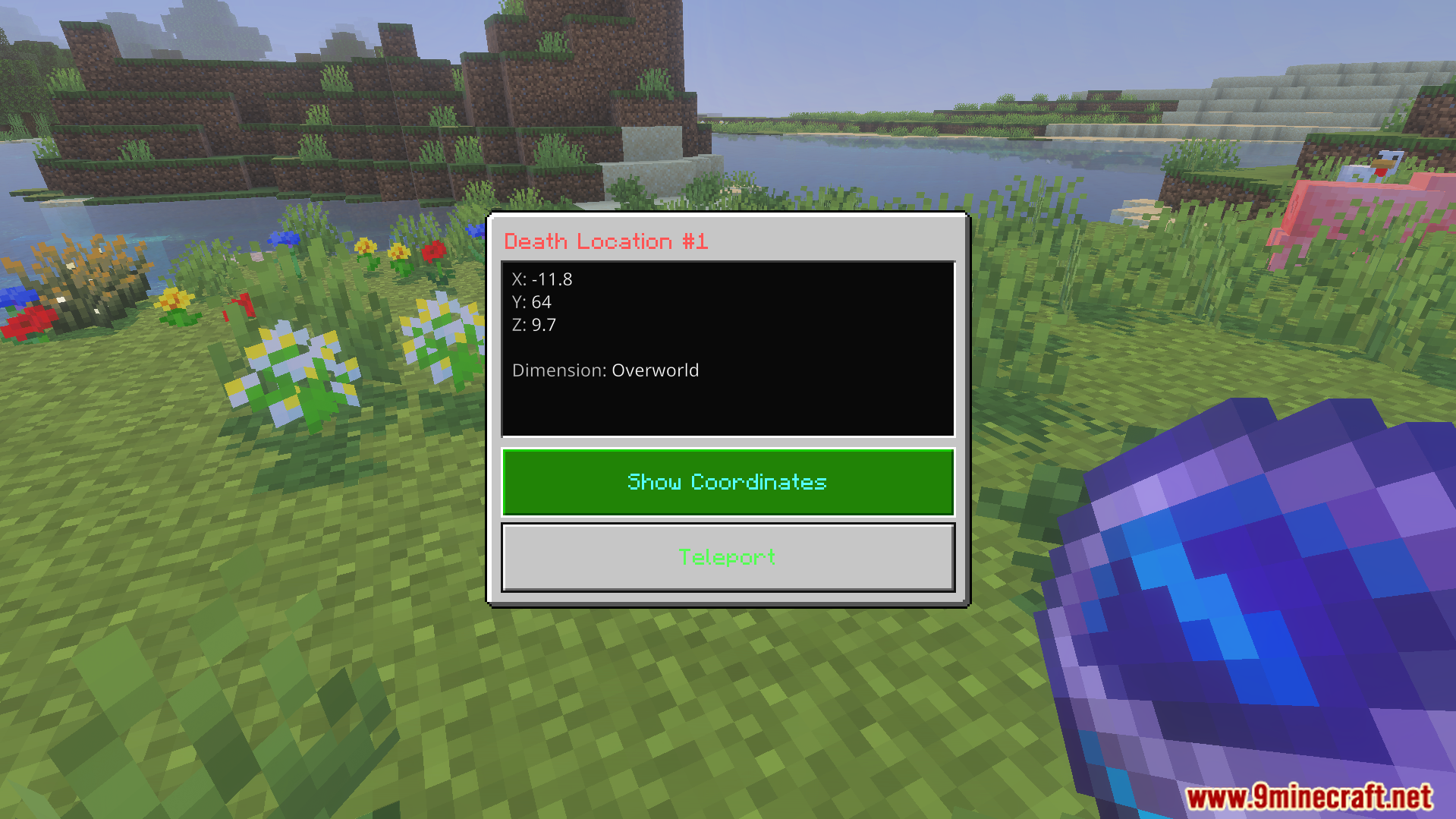 A screen showing exact death coordinates with options to teleport or show