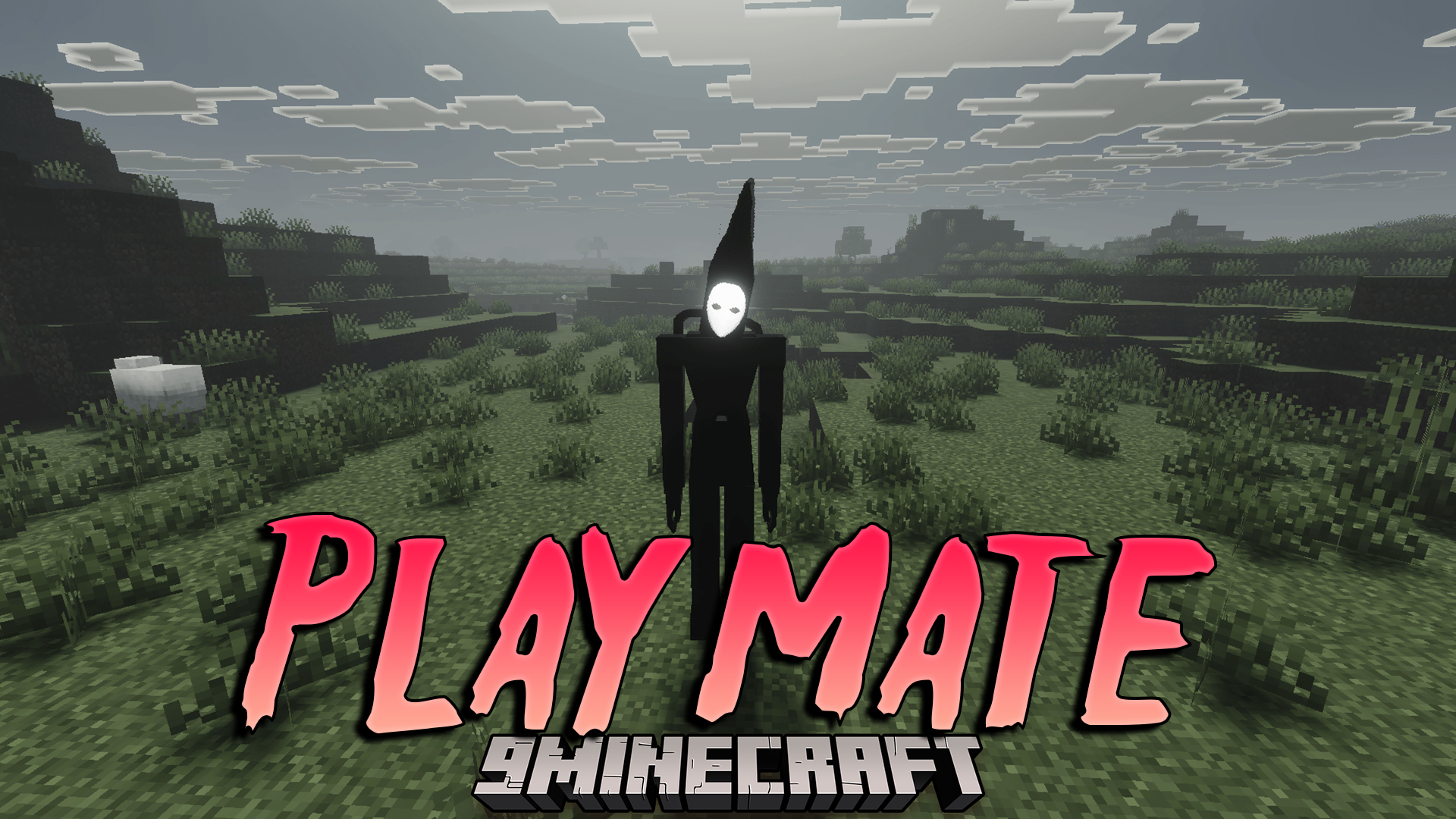 Playmate Addon