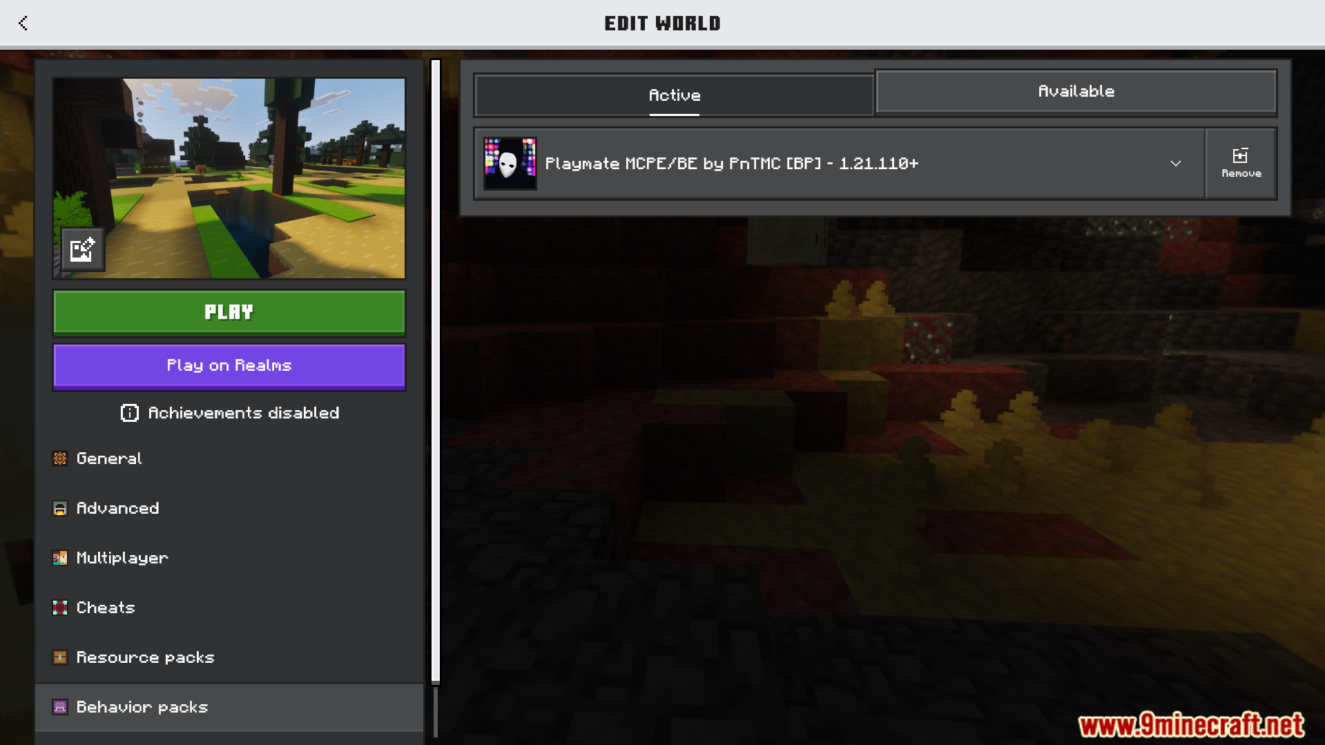 Minecraft world settings menu showing the active Playmate behavior pack for the game