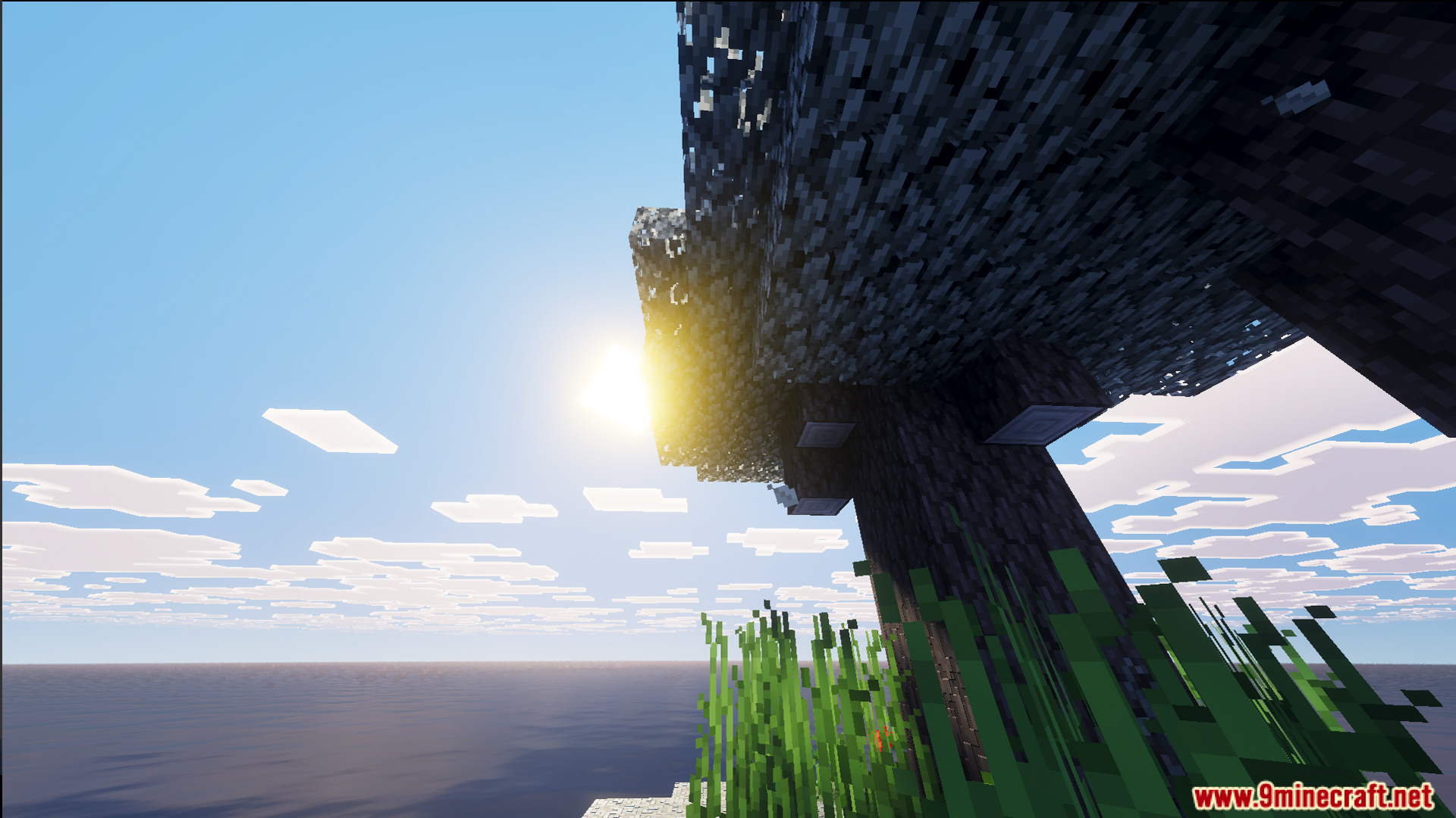 Raft Only World Ultimate Survival Map Screenshot 3 Sunlight peeks through the leaves of a tree on a small survival island